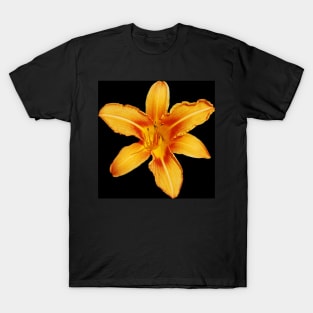 Orange Lily T-Shirt